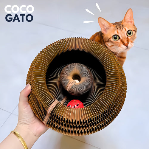 Aprovecha y llévate uno más