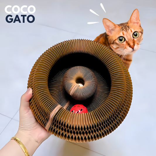 Aprovecha y llévate uno más