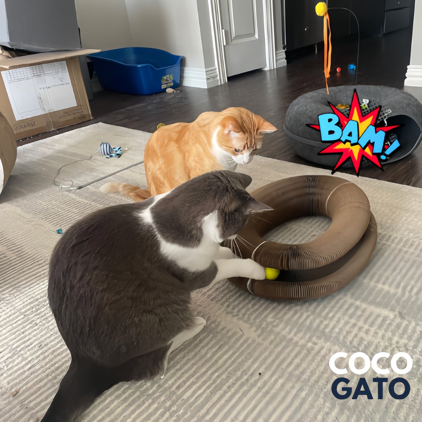 Aprovecha y llévate uno más